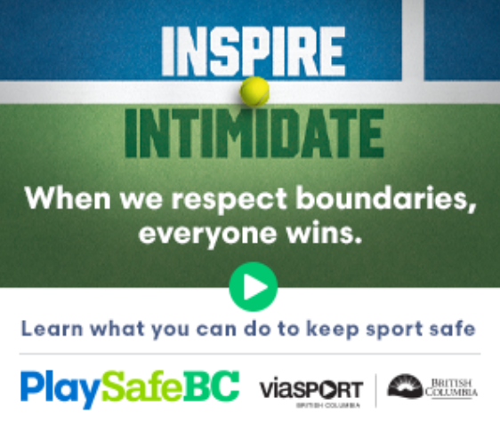 Campaign Execution & Optimization